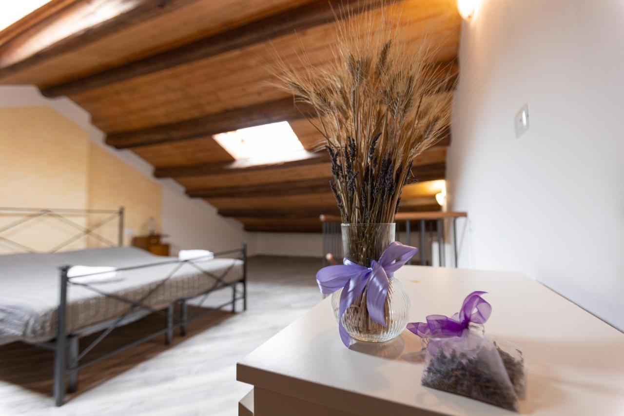 Agriturismo La Valle Della Lavanda - Podere Mezzastrada Fauglia Екстер'єр фото