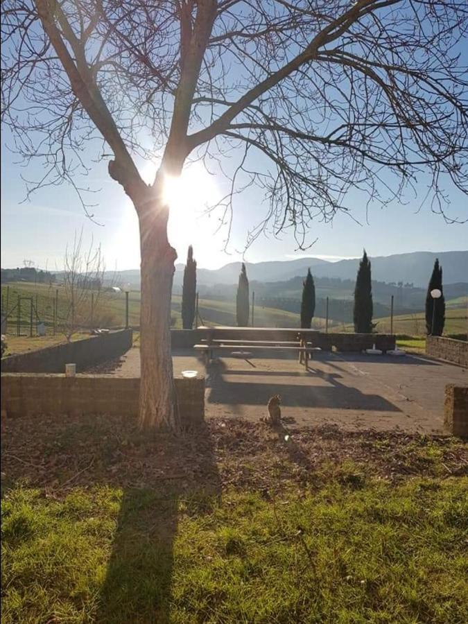 Agriturismo La Valle Della Lavanda - Podere Mezzastrada Fauglia Екстер'єр фото