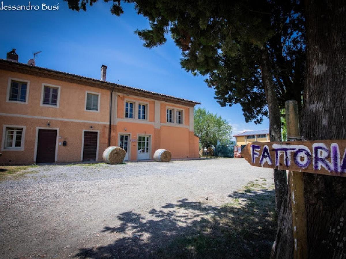 Agriturismo La Valle Della Lavanda - Podere Mezzastrada Fauglia Екстер'єр фото