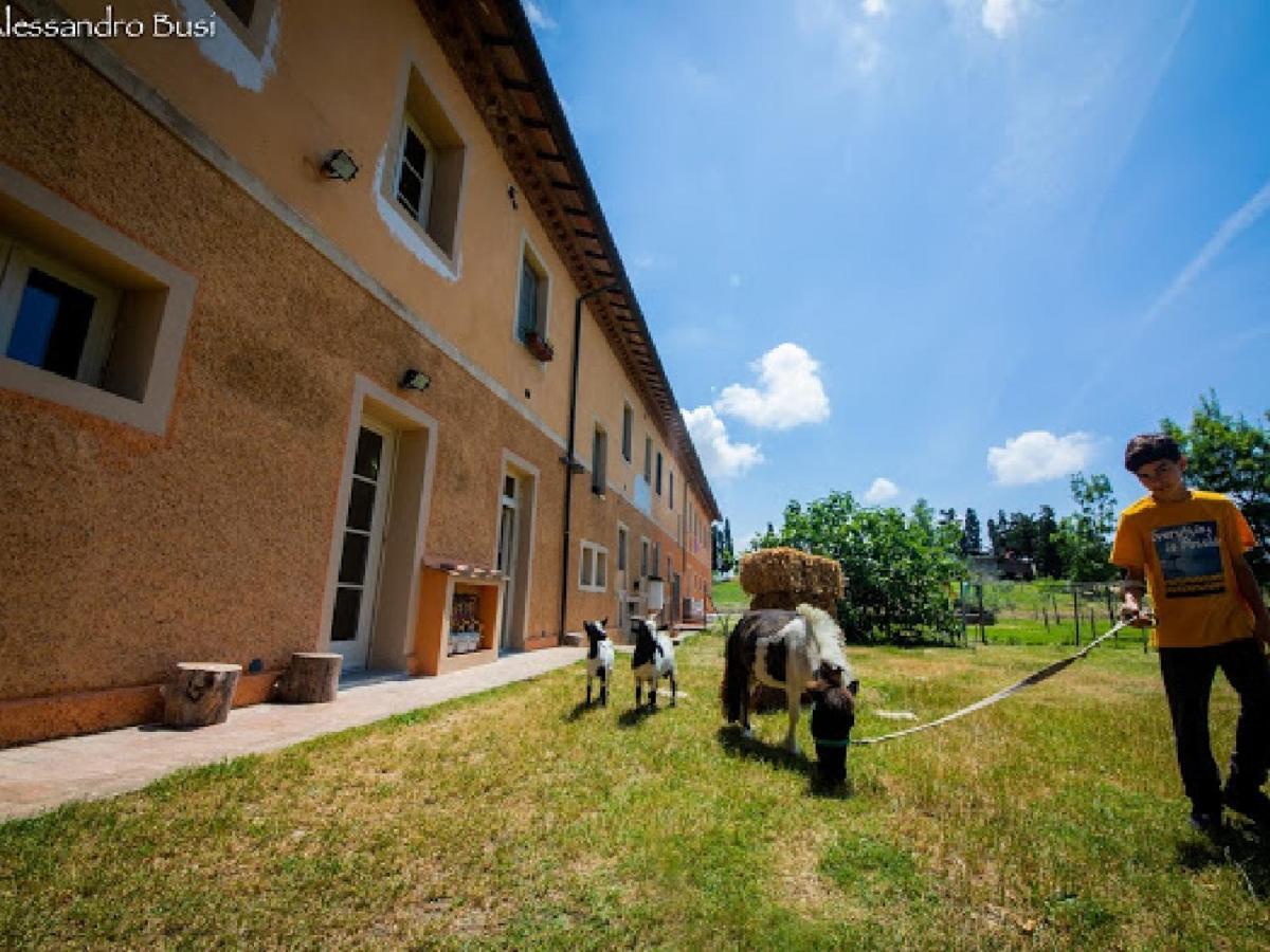 Agriturismo La Valle Della Lavanda - Podere Mezzastrada Fauglia Екстер'єр фото